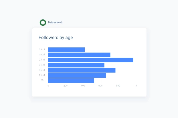 instagram-audience-overview